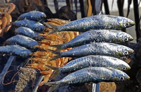 sardines jersey|Espetadas .
